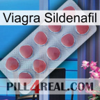 Viagra Sildenafil 18